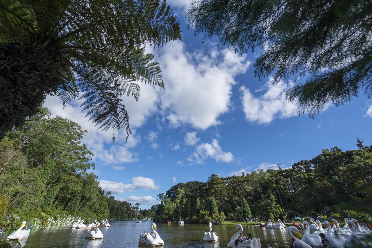 Imagem de um casal feliz celebrando o casamento ao ar livre, com vista panorâmica das montanhas verdes da Serra Gaúcha, destacando o charme do turismo de casamentos na região.